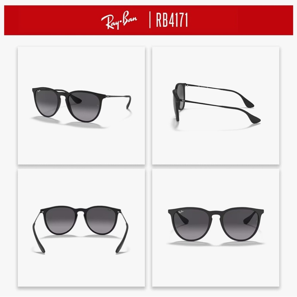 Ray-Ban Black Erika Sunglasses